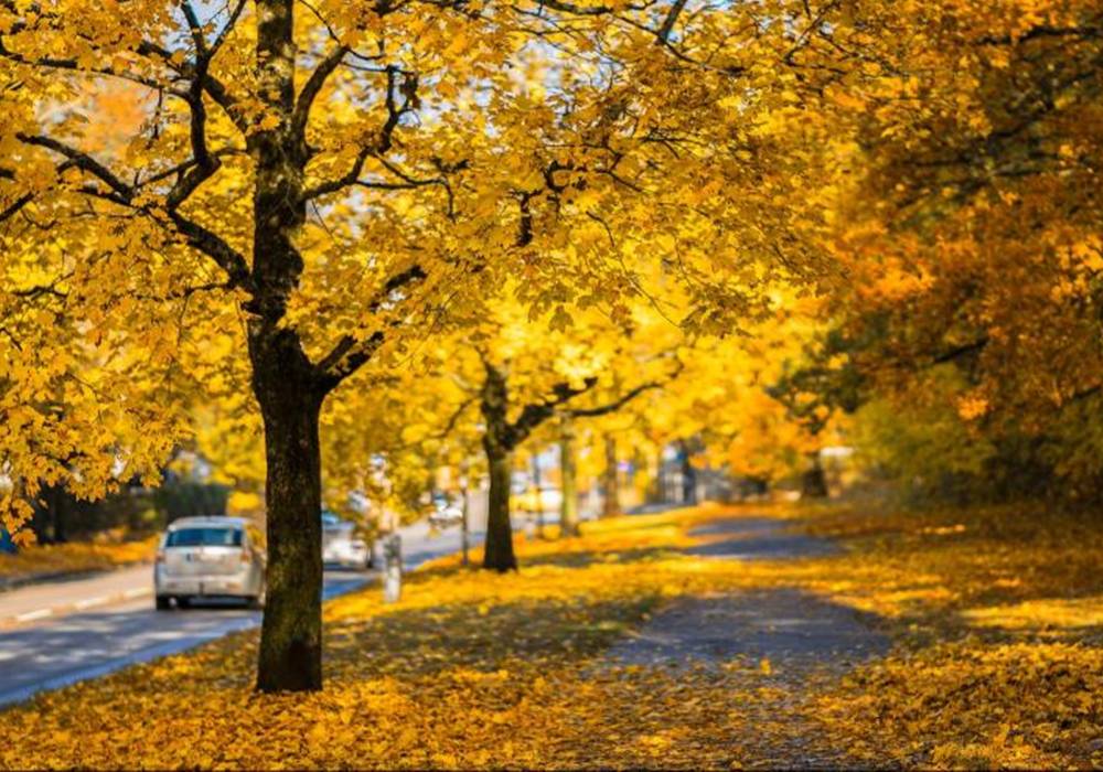 Meteorológia: hétfő este megkezdődik a csillagászati ősz. Illusztráció. Fotó: Internet
