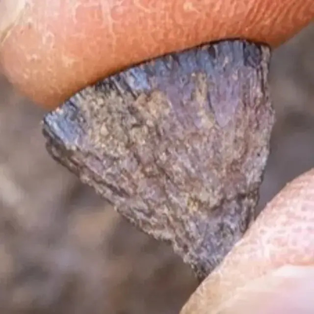 Az első vaspirittöredék felfedezése 2017-ben az angliai Barnhamban, Suffolkban. Jordan Mansfield/Pathways to Ancient Britain Project via AP